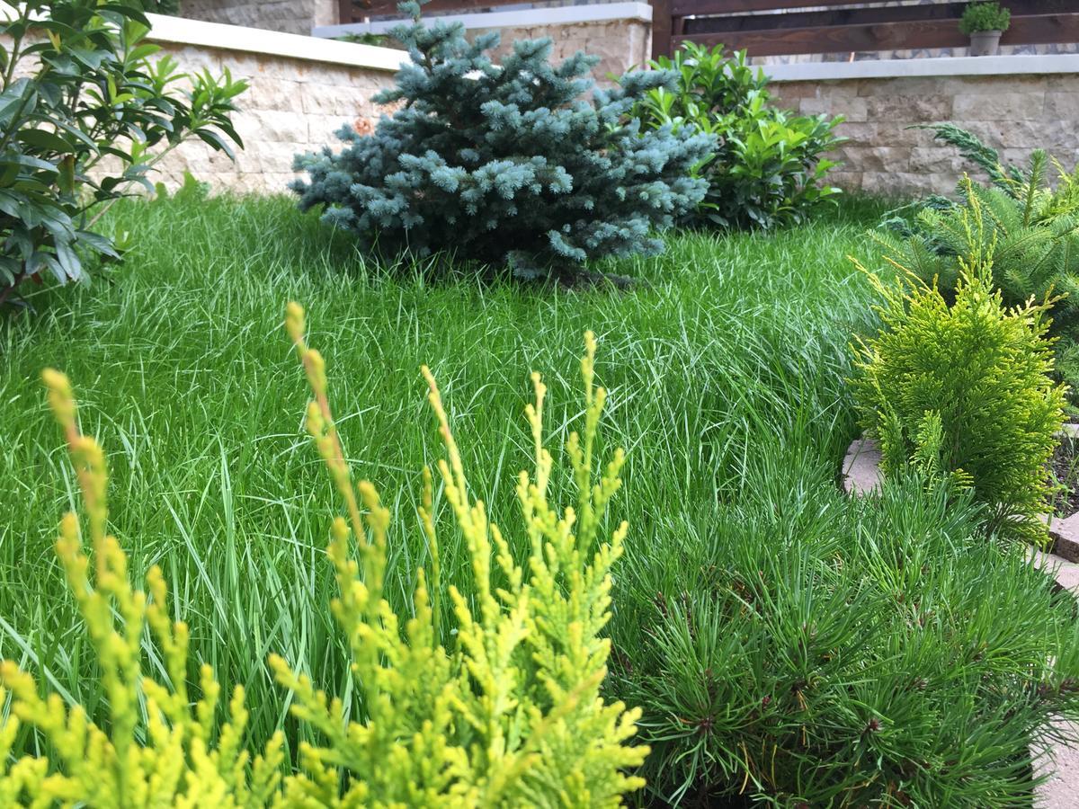 Garden Apart Predeal Buitenkant foto